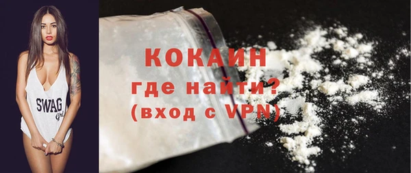 гашик Горняк