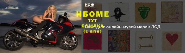 гашик Горняк