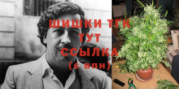 хмурый Вязьма