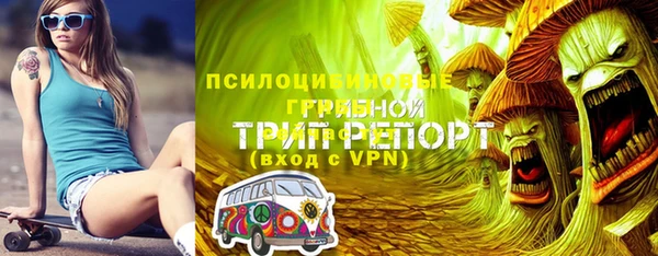 дурь Вяземский
