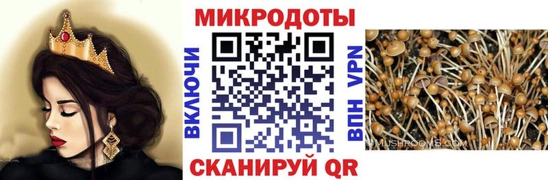 Галлюциногенные грибы прущие грибы дарнет шоп блэк спрут зеркало Нахабино